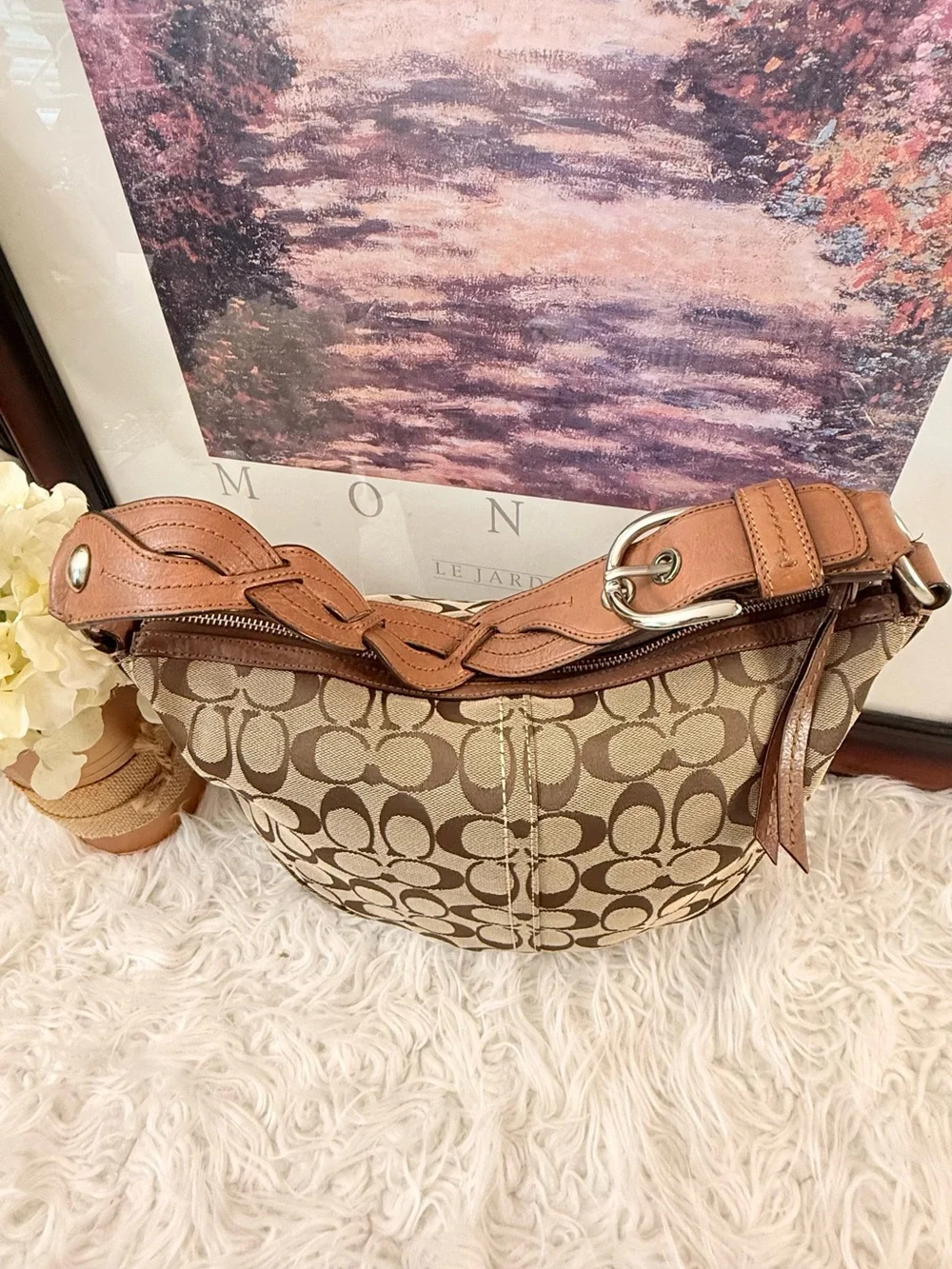 Coach Signature Canvas Hobo Bag in Beige and Brown - Picture 3 of 9